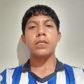 Javier Mendoza Torres