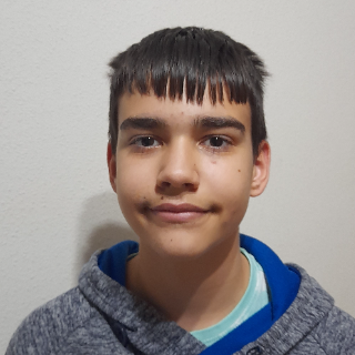 ALEXANDRU VALENTIN BUTA