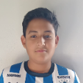 JOHAN ALEXIS ANAYA GUTIERREZ