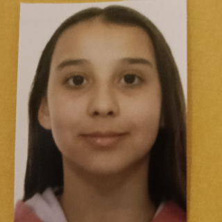 ANDREEA ALEXANDRA BOLOCAN STAN
