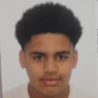 GERAD MICAEL PALOMINO LAZO