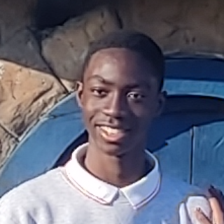 JOEL BENJAMIN MIZUA MAKUBA