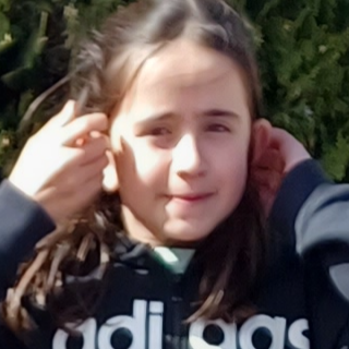 AMELIA ANDRES GUTIERREZ