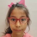 LOURDES ROSA REATEGUI SANTOS