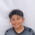RAUL VALDES VILLEGAS
