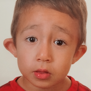 MATEO TORRES PALACIOS