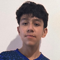 PATRICIO DAREY LLAMAS GALLEGOS