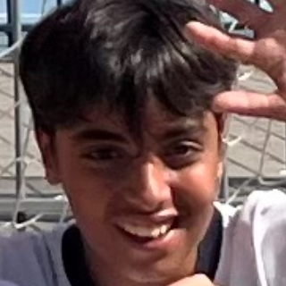 DIEGO DE PEDRO RUBIO