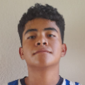 HUGO SALVADOR ALANIS ESTRELLA